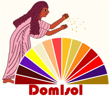 logo du projet DomIsol
