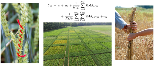 Diversity, Evolution and Adaptation of Populations