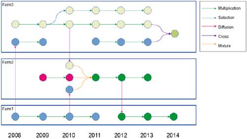 Publication de l'application SHiNeMaS dans Plant Methods