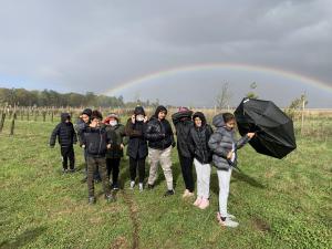 Semaine de l’environnement sur le verger de pommier sauvage du plateau de Saclay