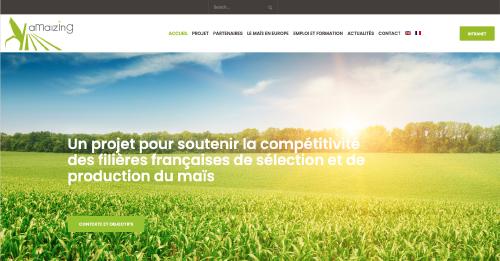 Le projet Amaizing : 10 ans de recherches en partenariat avec les filières françaises de sélection et de production du maïs.