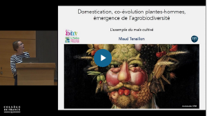 Domestication, co-évolution plantes-hommes, émergence de l’agrobiodiversité au Collège de France