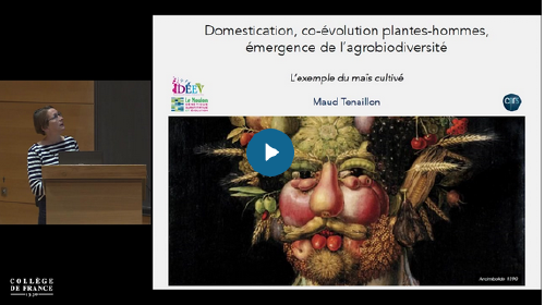 Domestication, co-évolution plantes-hommes, émergence de l’agrobiodiversité au Collège de France