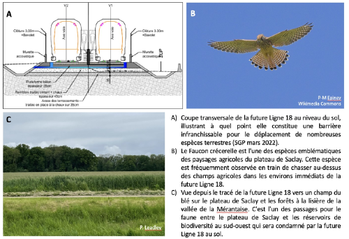 Ecological continuities on the Saclay Plateau