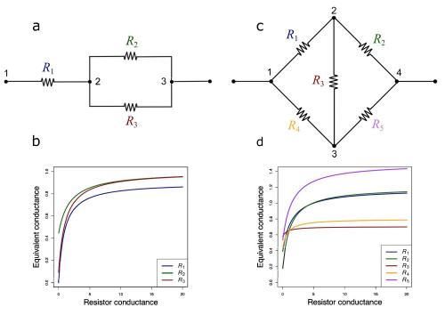 In biology, the law of diminishing returns also exists