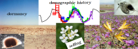 Footprints of past species history and ecological/life-history traits in full genome data: consequence and inference